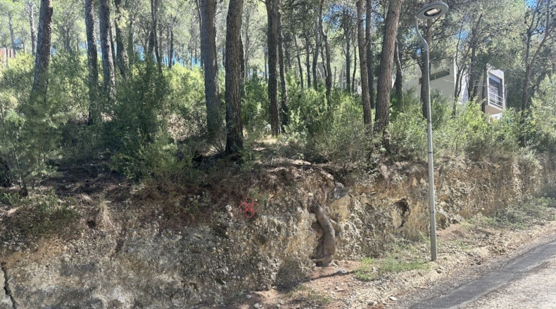 Valencia - Torres Torres - 1509m2