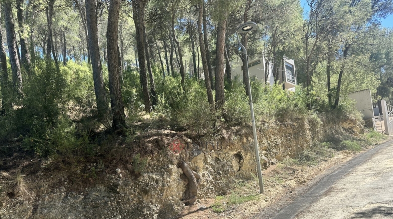 Valencia - Torres Torres - 1509m2