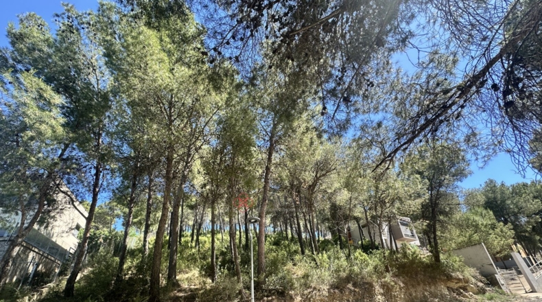 Valencia - Torres Torres - 1509m2