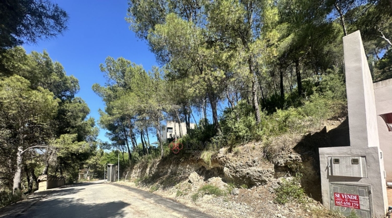 Valencia - Torres Torres - 1509m2