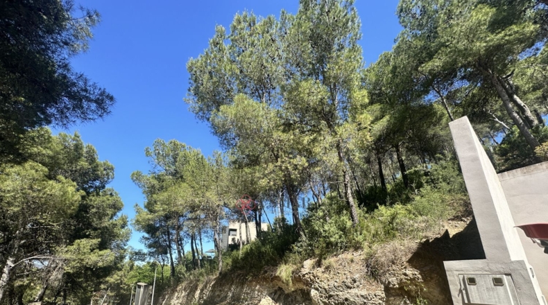 Valencia - Torres Torres - 1509m2
