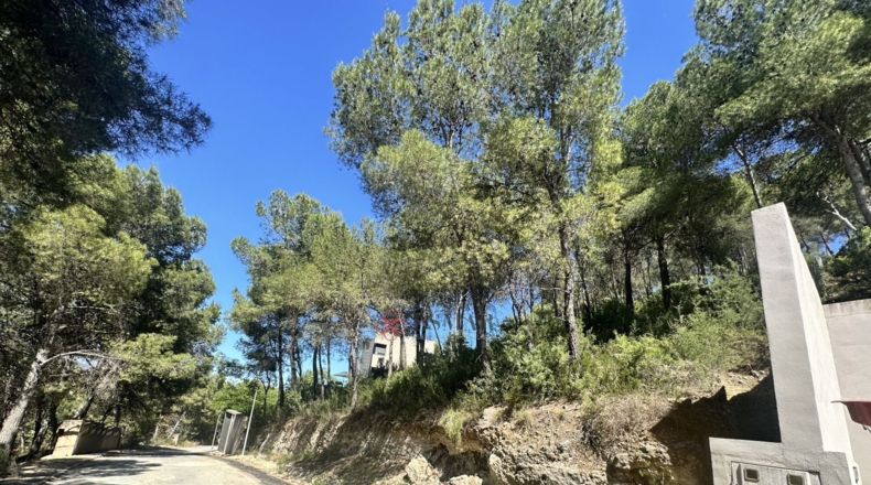 Valencia - Torres Torres - 1509m2