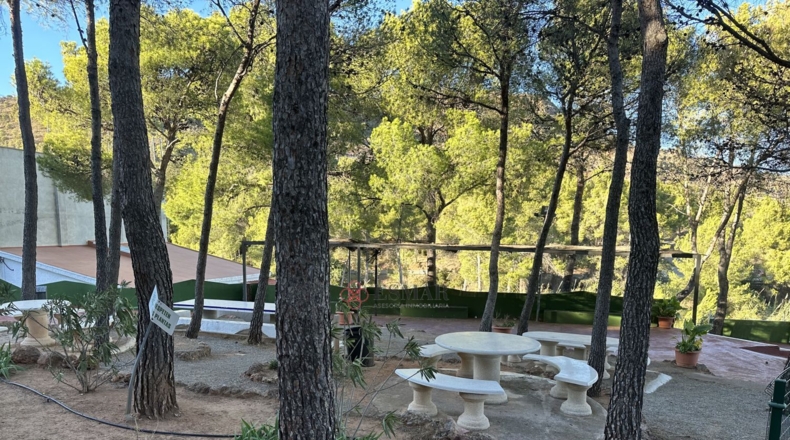 Valencia - Torres Torres - 1509m2