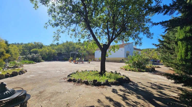 Almería - Oria - 1555m2