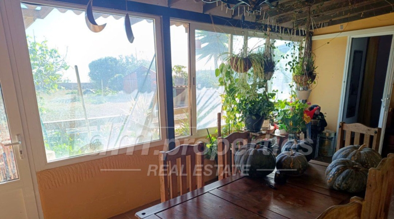 Santa Cruz de Tenerife - Villa de Arico - 2450m2