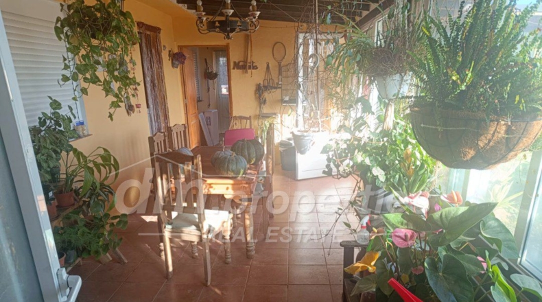 Santa Cruz de Tenerife - Villa de Arico - 2450m2