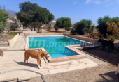 Finca rústica en venda a Villa de Arico ref.: TR369006 foto
