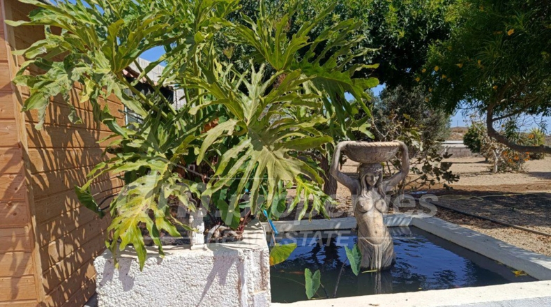 Santa Cruz de Tenerife - Villa de Arico - 2450m2