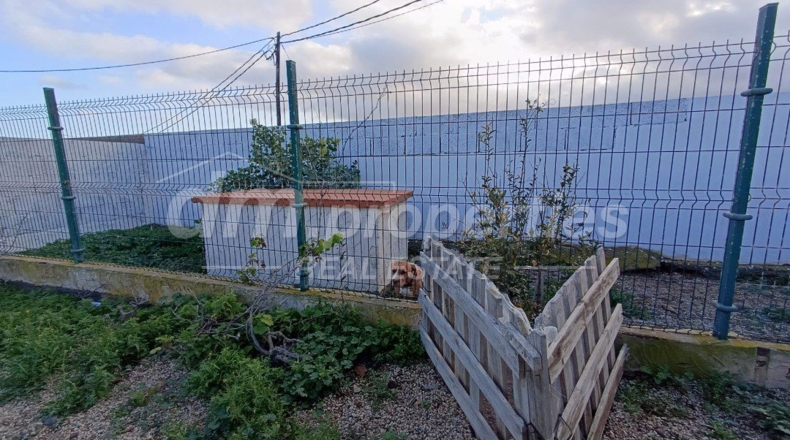 Santa Cruz de Tenerife - Villa de Arico - 2450m2