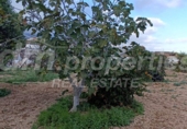 Finca rústica en venda a Villa de Arico ref.: TR369006 foto