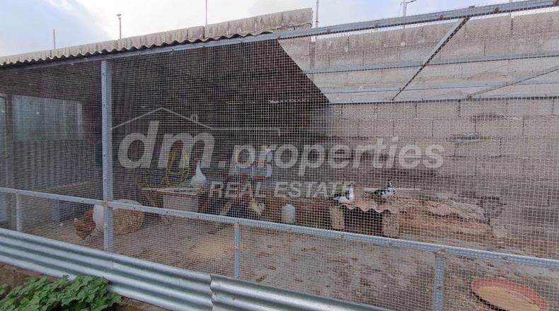 Santa Cruz de Tenerife - Villa de Arico - 2450m2