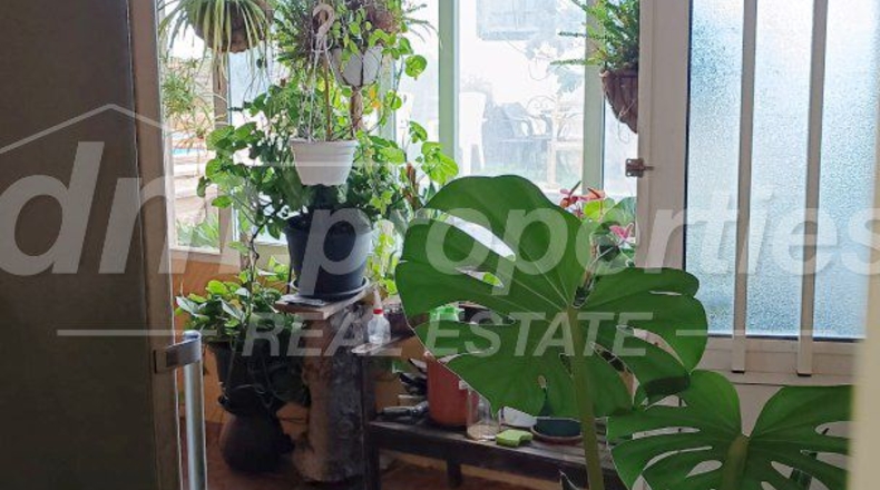 Santa Cruz de Tenerife - Villa de Arico - 2450m2