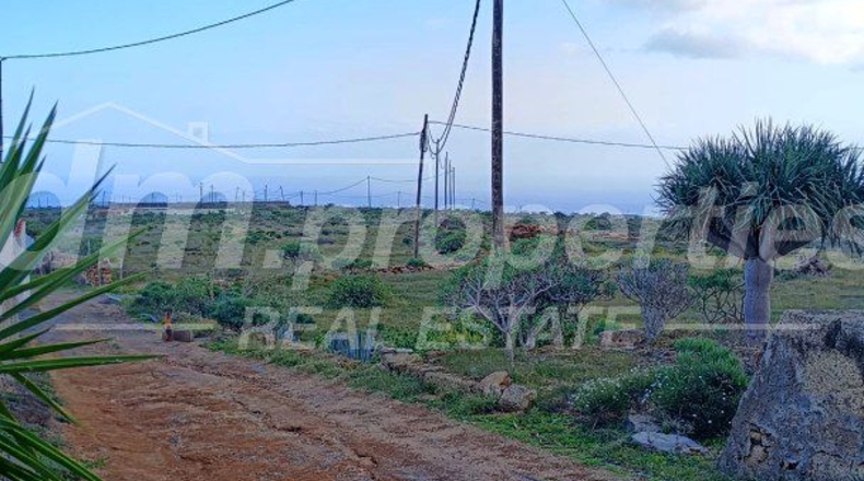 Santa Cruz de Tenerife - Villa de Arico - 2450m2