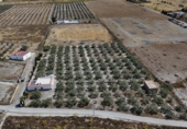 Finca rústica en venta en Tabernas ref: TR410492 foto