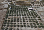 Finca rústica en venta en Tabernas ref: TR410492 foto