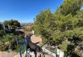 Chalet independiente con terreno en venta en Crevillente ref: TR410741 foto
