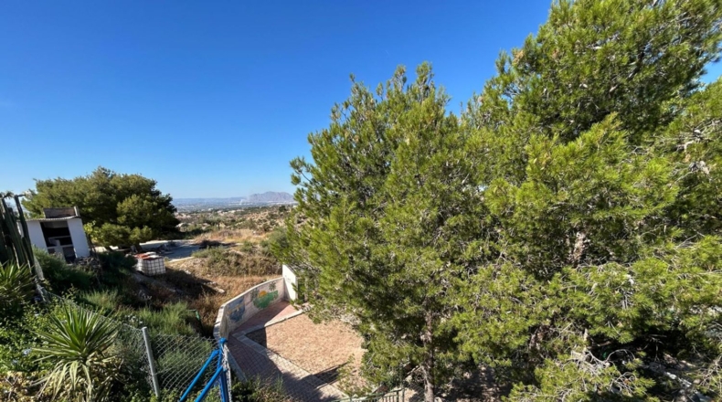 Alicante - Crevillente - 1980m2
