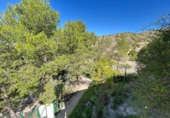 Chalet independiente con terreno en venta en Crevillente ref: TR410741 foto