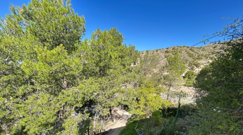 Alicante - Crevillente - 1980m2