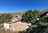 Chalet independiente con terreno en venta en Crevillente ref: TR410741 foto