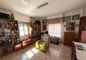 Chalet independiente con terreno en venta en Crevillente ref: TR410741 foto