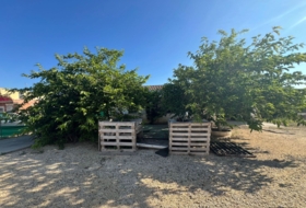 Foto 16
