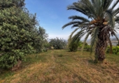 Nave industrial en venta en Motril ref: TR410747 foto