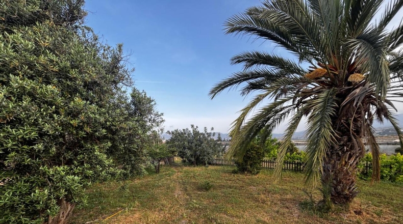Granada - Motril - 420m2