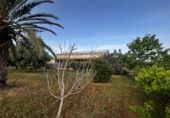 Nave industrial en venta en Motril ref: TR410747 foto