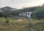 Nave industrial en venta en Motril ref: TR410747 foto