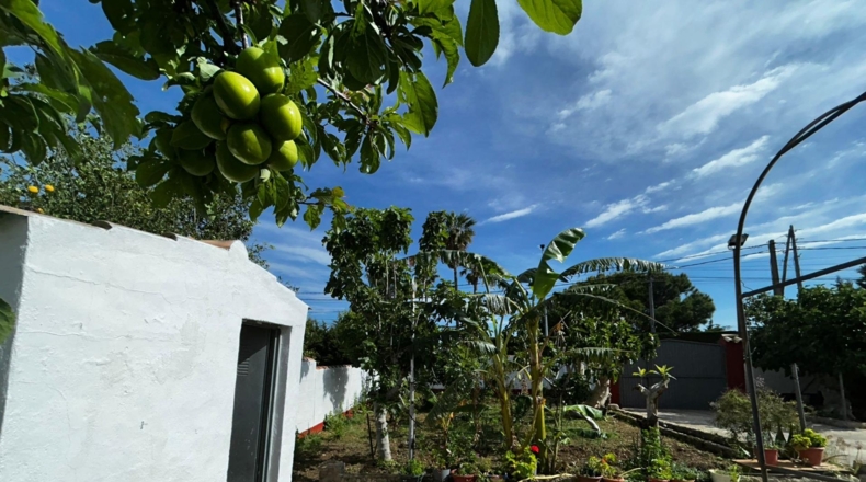 Кадис - Chiclana de la Frontera - 674m2
