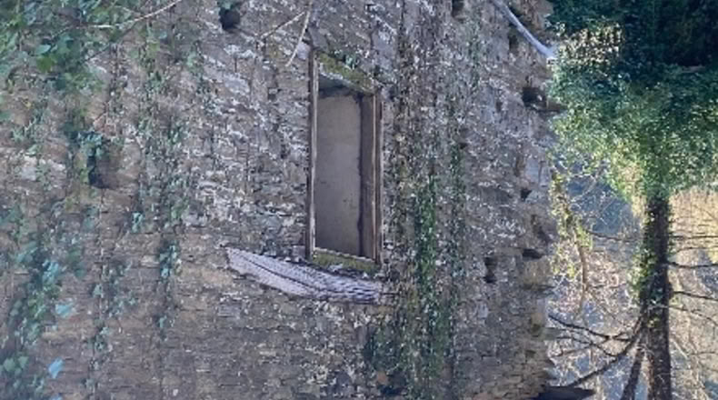 Lugo - Pedrouzos - 1161m2
