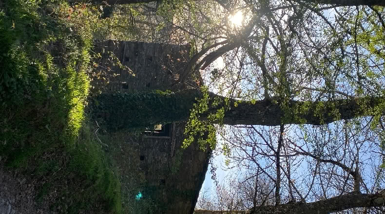 Lugo - Pedrouzos - 1161m2