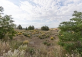 Городская земля под застройку на продажу у города Villa de Otura Фото