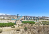 Non-developable land for sale on España, Sorbas, ref: TR389155 photo