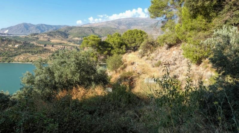 Granada - Pinos del Valle - 12400m2