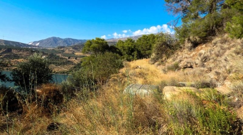 Granada - Pinos del Valle - 12400m2