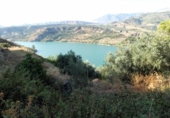 Non-developable land for sale on España, Pinos del Valle, ref: TR410761 photo