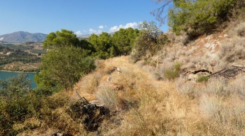 Granada - Pinos del Valle - 12400m2