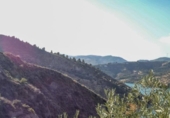 Non-developable land for sale on España, Pinos del Valle, ref: TR410761 photo