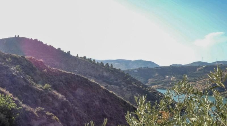 Granada - Pinos del Valle - 12400m2