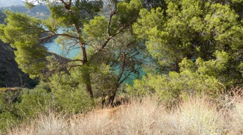 Granada - Pinos del Valle - 12400m2