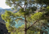 Non-developable land for sale on España, Pinos del Valle, ref: TR410761 photo