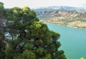 Non-developable land for sale on España, Pinos del Valle, ref: TR410761 photo