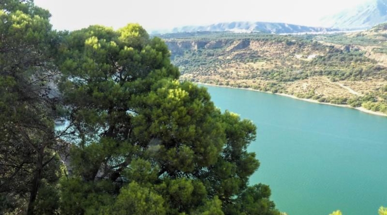 Granada - Pinos del Valle - 12400m2