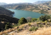 Non-developable land for sale on España, Pinos del Valle, ref: TR410761 photo