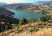 Non-developable land for sale on España, Pinos del Valle, ref: TR410761 photo