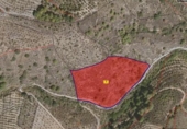 Non-developable land for sale on España, Pinos del Valle, ref: TR410761 photo