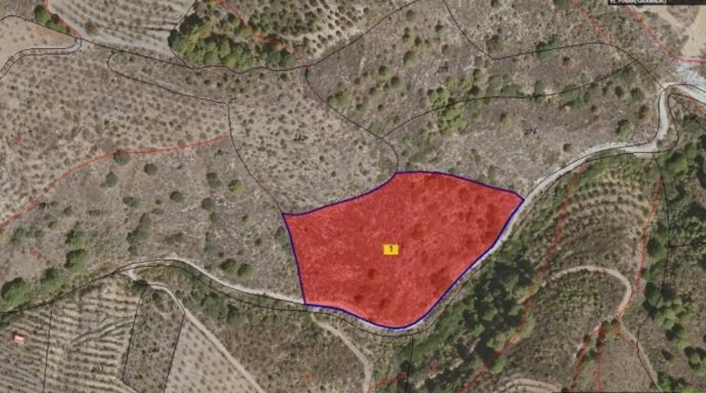 Granada - Pinos del Valle - 12400m2