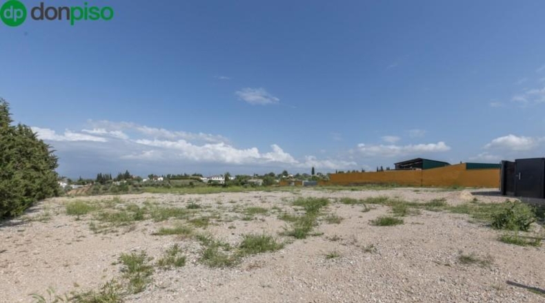 Granada - Moraleda de Zafayona - 3891m2